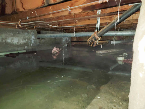 Best Fire Damage Restoration  in Central Islip, NY
