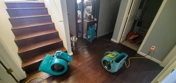 Best Water damage cleanup near me  in Central Islip, NY