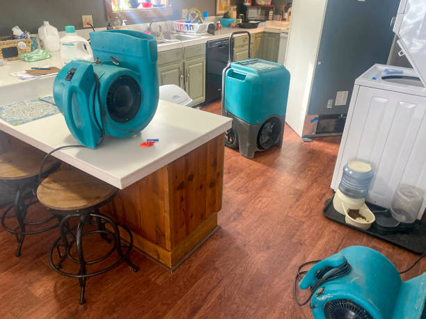 Best Water damage restoration near me  in Central Islip, NY