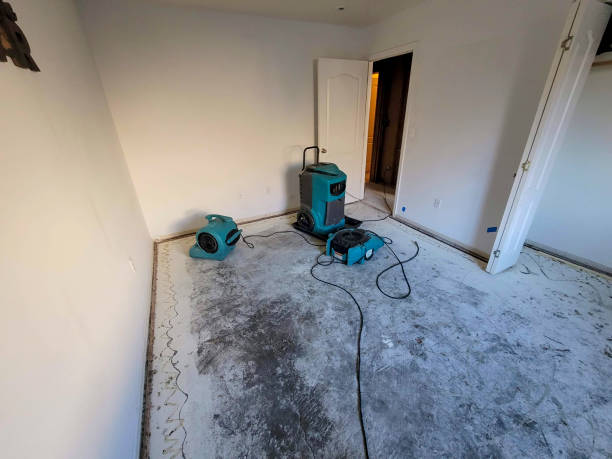 Best Water damage contractors near me  in Central Islip, NY
