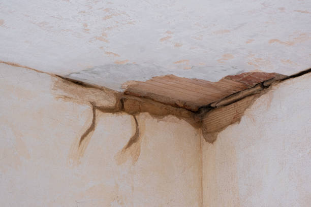 Best Water damage restoration insurance claims  in Central Islip, NY