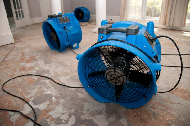 Best Water damage restoration near me  in Central Islip, NY