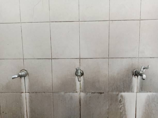 Best 24-hour water damage restoration  in Central Islip, NY