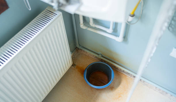 Best Mold removal after water damage  in Central Islip, NY