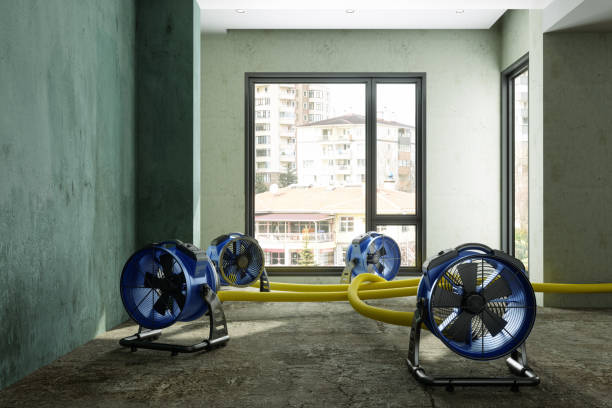 Best Sewage cleanup and water damage restoration  in Central Islip, NY